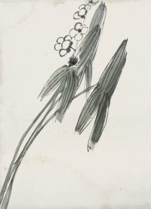近现代 齐白石 册页83开 560 28x40[花鸟]