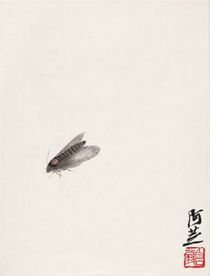 近现代 齐白石 册页-灰蛾-J-2 27X36.[其它]