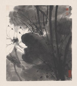 近现代 谢稚柳 花卉册页 (6) 41x46[花鸟] 