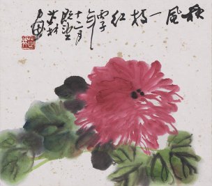 近现代 董芷林 菊花图  27×24[花鸟]