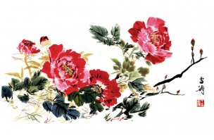 近现代 王雪涛 牡丹1[花鸟] 