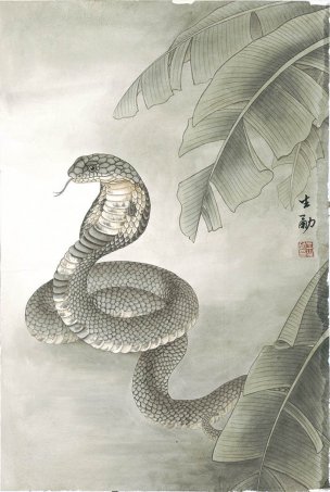 近现代 王生勈 十二生肖 蛇 44x66[走兽]