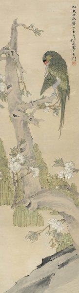 近现代 王人薰 鹦鹉指枝头 26x97[花鸟]