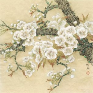 近现代 松岩 梅花 (3) 60x60[花鸟]