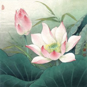 近现代 李晓明 工笔 VIP073 [花鸟]