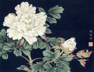 近现代 李晓明 工笔 lxm021 [花鸟]