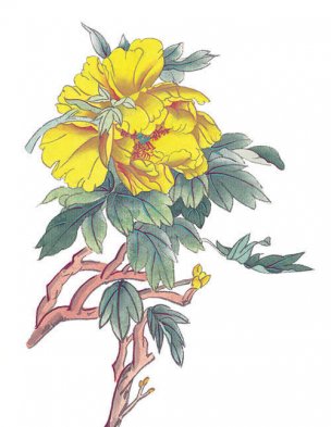 近现代 佚名 花卉图册J173-69-国画百花争艳381[花鸟
