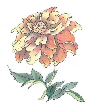 近现代 佚名 花卉图册J173-69-国画百花争艳363[花鸟