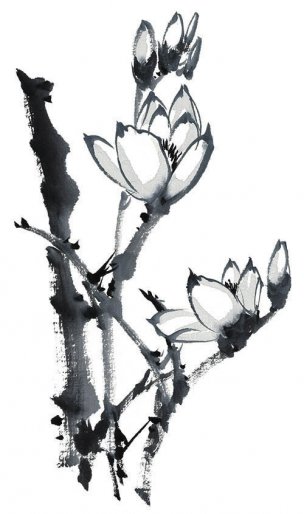 近现代 佚名 花卉图册J173-69-国画百花争艳36[花鸟