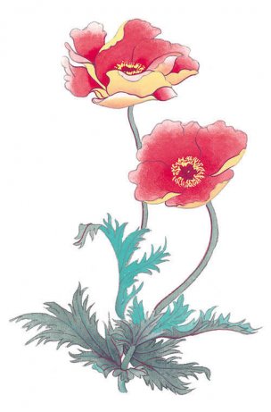 近现代 佚名 花卉图册J173-69-国画百花争艳378[花鸟