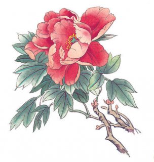 近现代 佚名 花卉图册J173-69-国画百花争艳361[花鸟