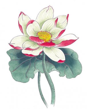 近现代 佚名 花卉图册J173-69-国画百花争艳371[花鸟