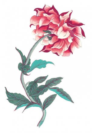 近现代 佚名 花卉图册J173-69-国画百花争艳370[花鸟
