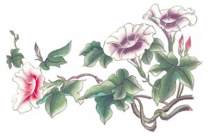 近现代 佚名 花卉图册J173-69-国画百花争艳368[花鸟