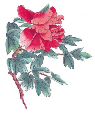 近现代 佚名 花卉图册J173-69-国画百花争艳385[花鸟