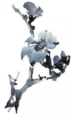 近现代 佚名 花卉图册J173-69-国画百花争艳37[花鸟