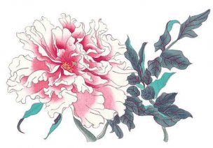 近现代 佚名 花卉图册J173-69-国画百花争艳384[花鸟