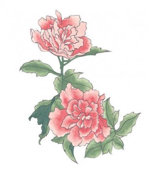 近现代 佚名 花卉图册J173-69-国画百花争艳387[花鸟