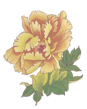 近现代 佚名 花卉图册J173-69-国画百花争艳358[花鸟