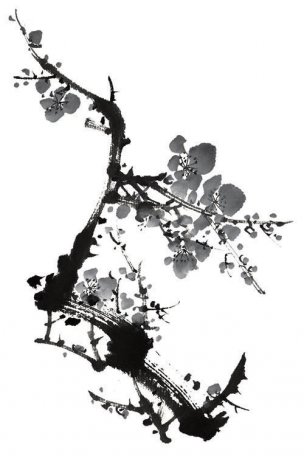 近现代 佚名 花卉图册J173-69-国画百花争艳38[花鸟