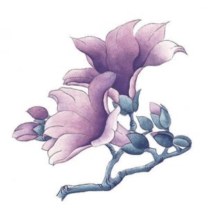 近现代 佚名 花卉图册J173-69-国画百花争艳372[花鸟