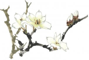 近现代 佚名 花卉图册J173-69-国画百花争艳35[花鸟
