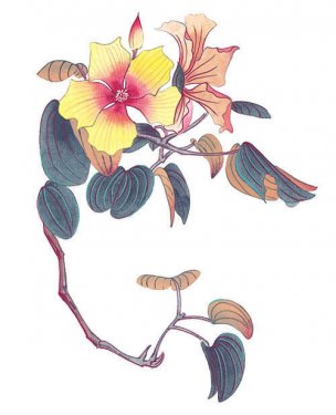 近现代 佚名 花卉图册J173-69-国画百花争艳367[花鸟 
