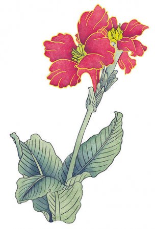 近现代 佚名 花卉图册J173-69-国画百花争艳341[花鸟 