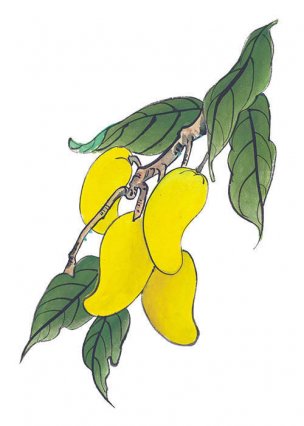 近现代 佚名 花卉图册J173-69-国画百花争艳342[花鸟 
