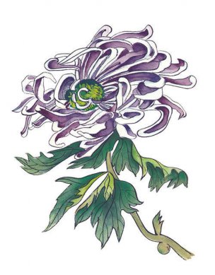 近现代 佚名 花卉图册J173-69-国画百花争艳339[花鸟 