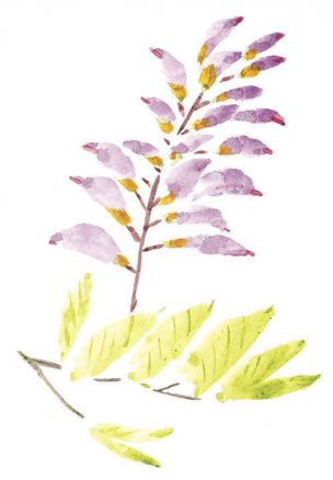 近现代 佚名 花卉图册J173-69-国画百花争艳336[花鸟 