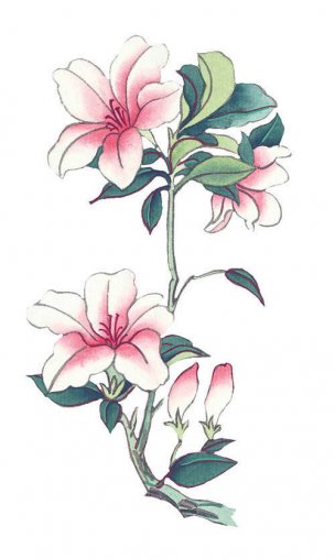 近现代 佚名 花卉图册J173-69-国画百花争艳352[花鸟 