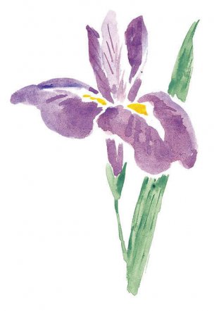 近现代 佚名 花卉图册J173-69-国画百花争艳335[花鸟 
