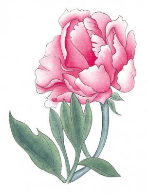 近现代 佚名 花卉图册J173-69-国画百花争艳355[花鸟 