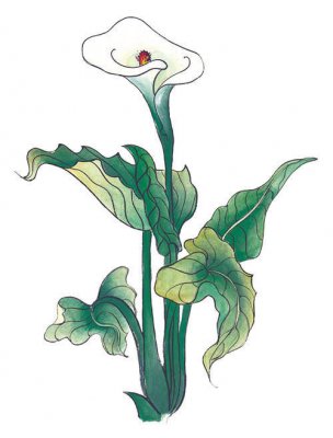 近现代 佚名 花卉图册J173-69-国画百花争艳340[花鸟 