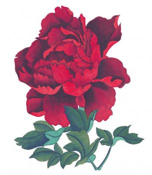 近现代 佚名 花卉图册J173-69-国画百花争艳346[花鸟 