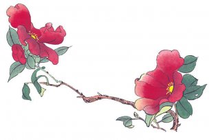 近现代 佚名 花卉图册J173-69-国画百花争艳354[花鸟 