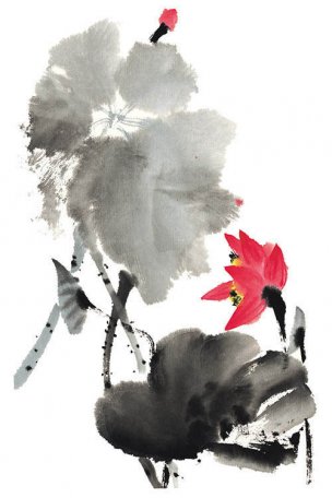 近现代 佚名 花卉图册J173-69-国画百花争艳301[花鸟 