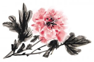 近现代 佚名 花卉图册J173-69-国画百花争艳328[花鸟 