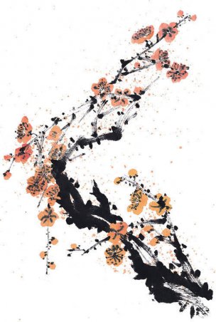 近现代 佚名 花卉图册J173-69-国画百花争艳29[花鸟 