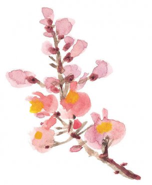 近现代 佚名 花卉图册J173-69-国画百花争艳327[花鸟 