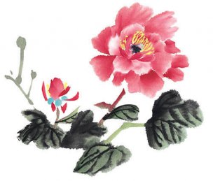 近现代 佚名 花卉图册J173-69-国画百花争艳311[花鸟 