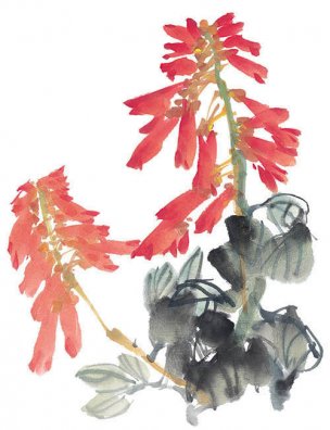 近现代 佚名 花卉图册J173-69-国画百花争艳299[花鸟 