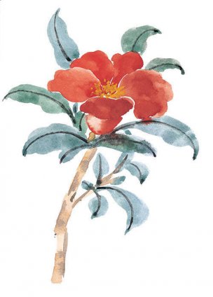 近现代 佚名 花卉图册J173-69-国画百花争艳325[花鸟 