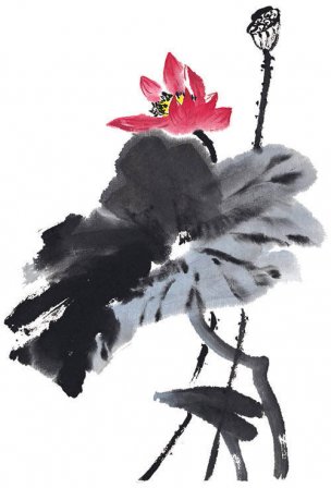 近现代 佚名 花卉图册J173-69-国画百花争艳300[花鸟 