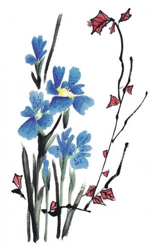 近现代 佚名 花卉图册J173-69-国画百花争艳307[花鸟 