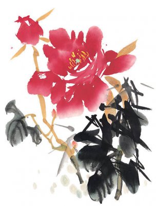 近现代 佚名 花卉图册J173-69-国画百花争艳306[花鸟 