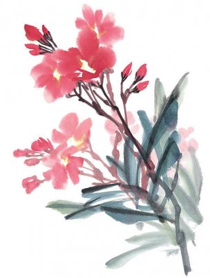 近现代 佚名 花卉图册J173-69-国画百花争艳303[花鸟 