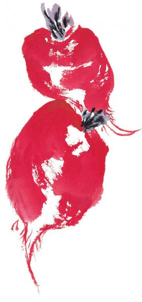 近现代 佚名 花卉图册J173-69-国画百花争艳304[花鸟 