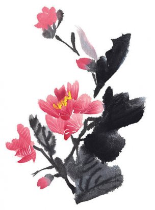 近现代 佚名 花卉图册J173-69-国画百花争艳324[花鸟 